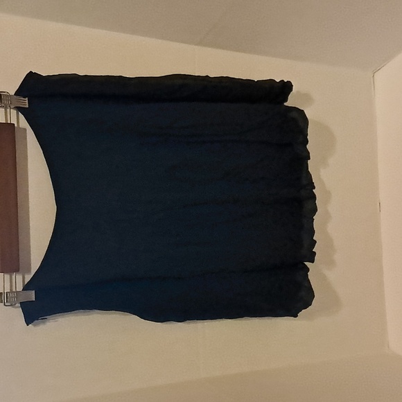 Worthington Women Pleated Silk Skirt Size 16 Fairiegoth Sheer Fairy Preowned - Picture 5 of 8